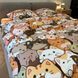 Постельное белье двухспальное разноцветное Котики Фланель Байка Ananasko A01B A01B(2,0) фото 1